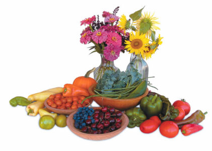The Power of Fruits Image